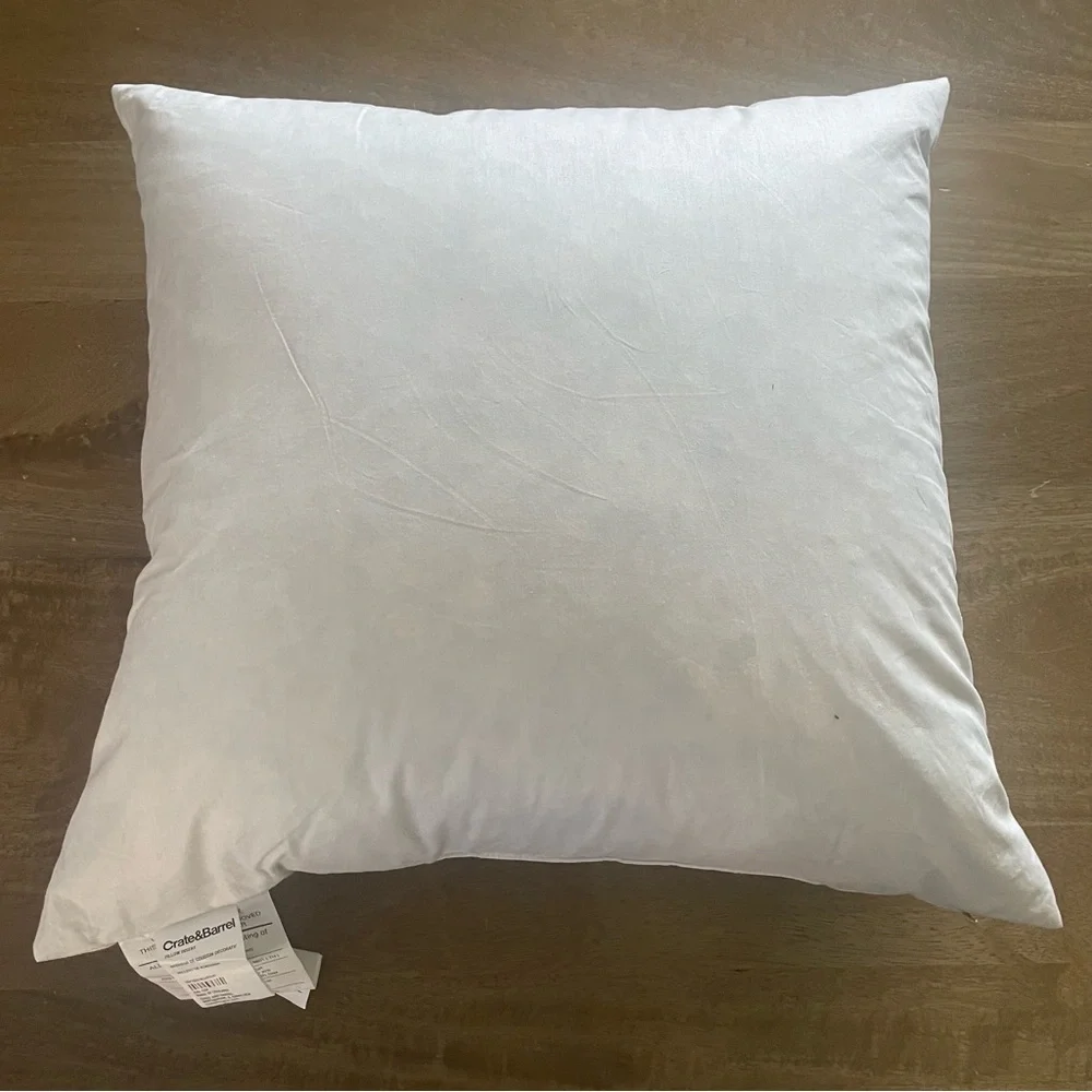 Crate & Barrel Velvet Pillow
